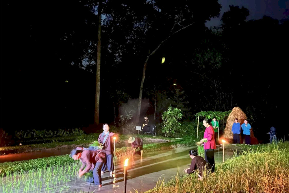 The 'Moonlight at Cu Chi' Night Tour